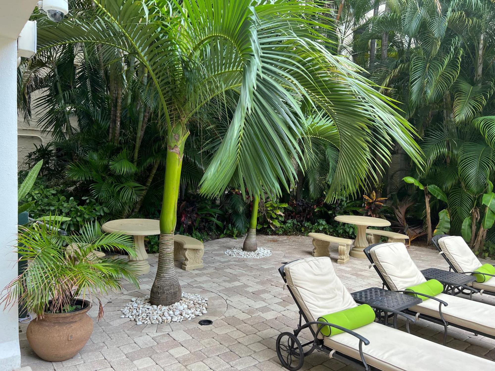 Orchid Suites - Historic Palm Beach Hotel Condominium Extérieur photo
